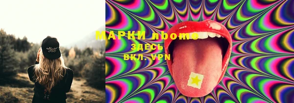 соль ск Алексин